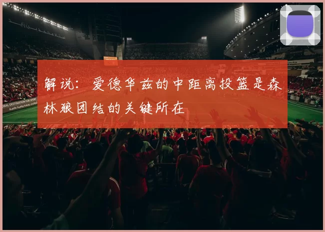解说：爱德华兹的中距离投篮是森林狼团结的关键所在